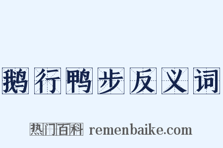鹅行鸭步反义词是什么意思的图片